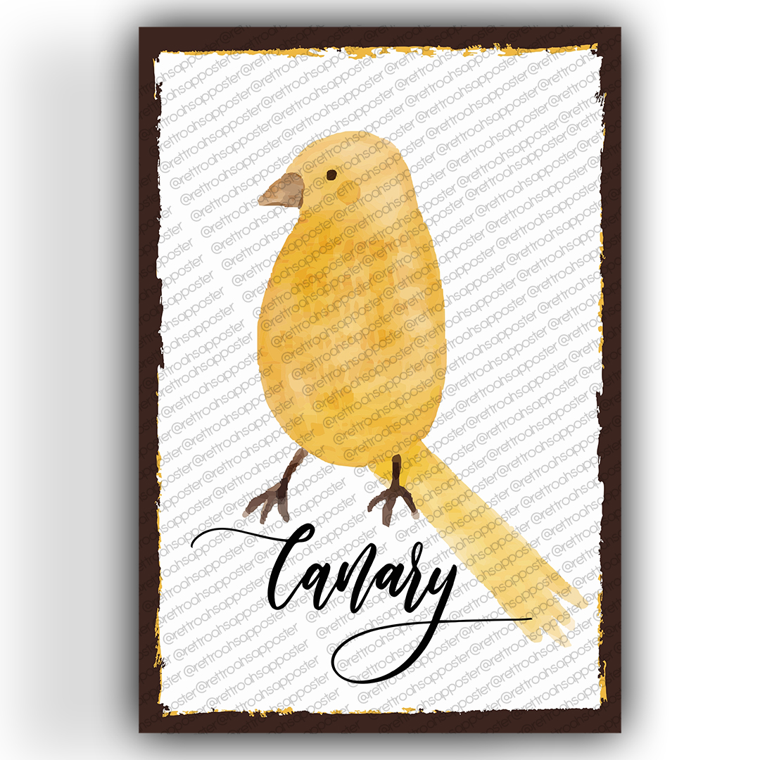 Canary Ahşap Retro Vintage Poster 