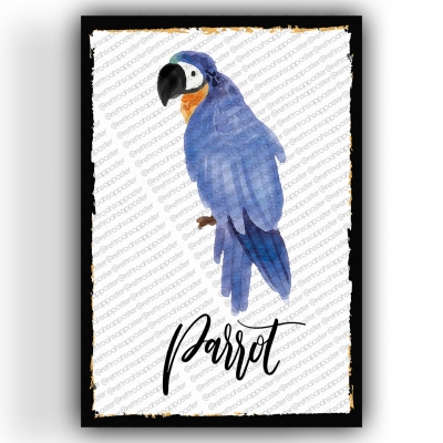 Parrot Ahşap Retro Vintage Poster 