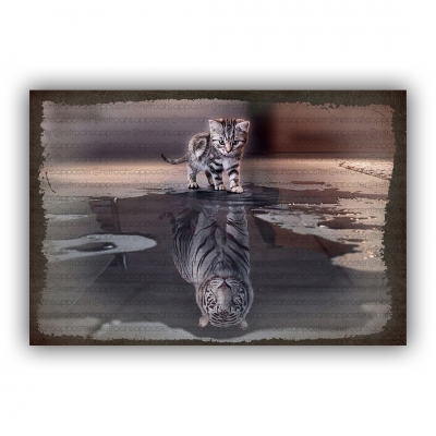 Kedi Kaplan Ahşap Retro Vintage Poster 